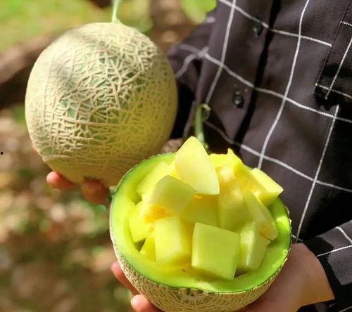 娱乐吃瓜壁纸图,吃瓜群众眼中的明星幕后故事